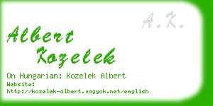 albert kozelek business card